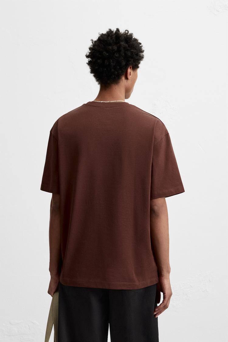 T-Shirt ZARA Browen