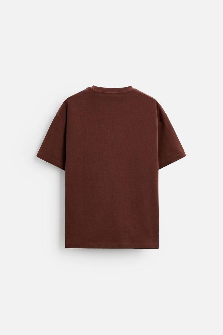 T-Shirt ZARA Browen